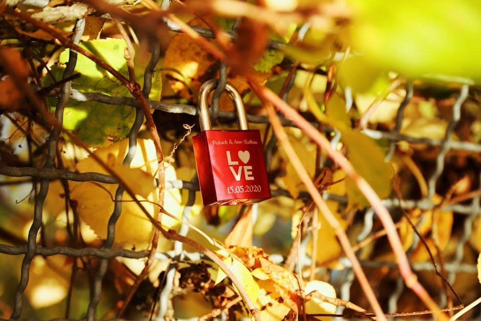 Serrurier Lingolsheim : serrurerie et volets roulants